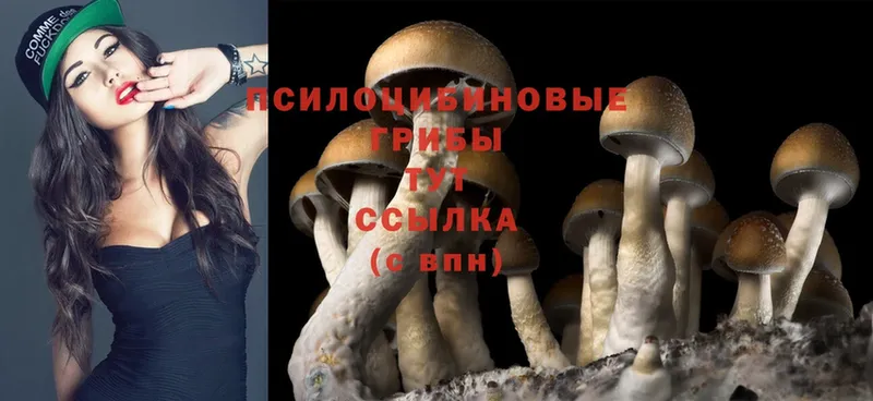 Галлюциногенные грибы MAGIC MUSHROOMS  Алушта 